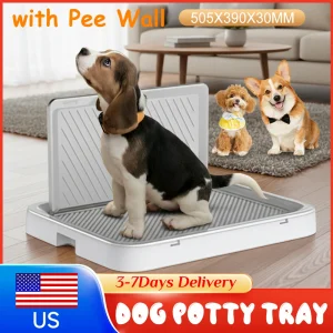Potty Trainer Anti-Splash Toilet
