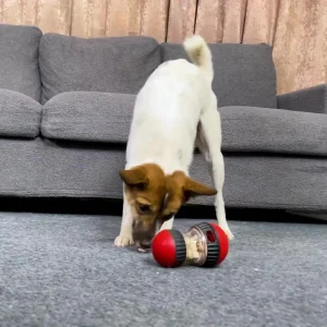Improve IQ Puppy Toy Feeder Ball