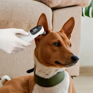 Pet Veterinary Thermometers