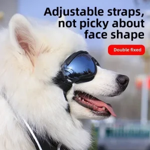 S6a7a3a0f5c6643359d2bc1ef7bdc5de0n.webp