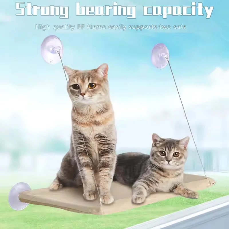 Sd3a0e1d937e7466780a42ab93851b3803.webp